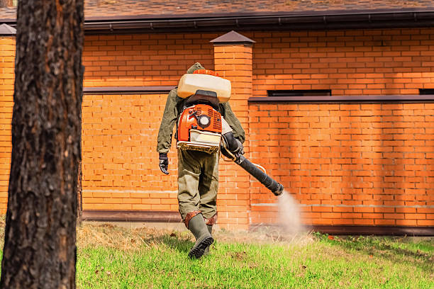 Trusted Ant Control service in Elkhorn City, KY - Nex Pest Control